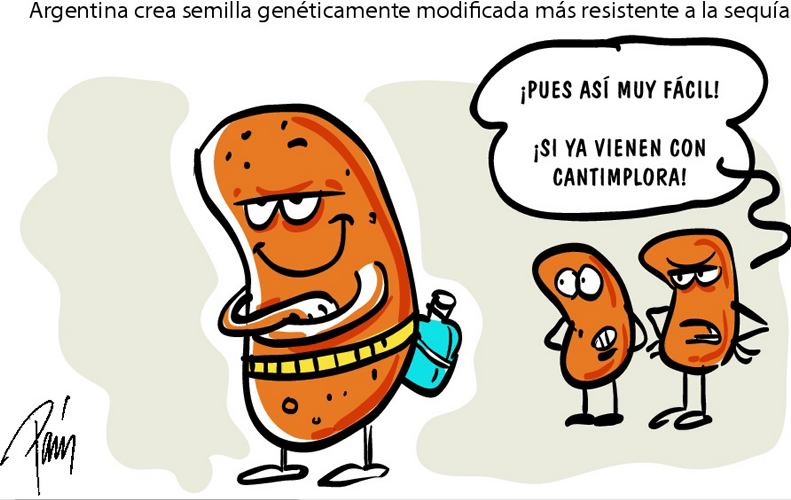 InfogrÃ¡fico