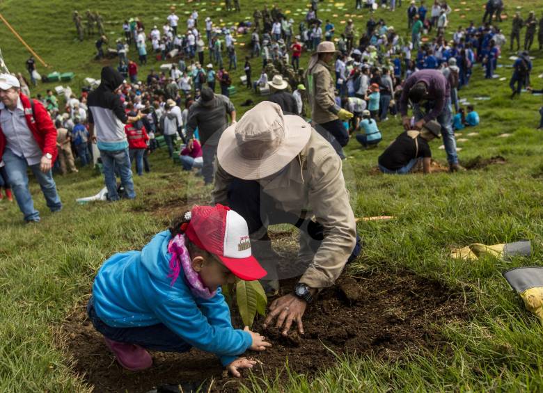 En la finca Monteloro, en Barbosa, se plantaron árboles en la primera “Sembratón” en el mes de mayo. FOTO Julio César herrera