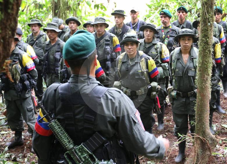 Las Farc habían propuesto 80 zonas de ubicación para cada uno de sus frentes, sin embargo la cifra que ofrecía el Gobierno era muy inferior. Al parecer acordaron 22. FOTO Donaldo Zuluaga.