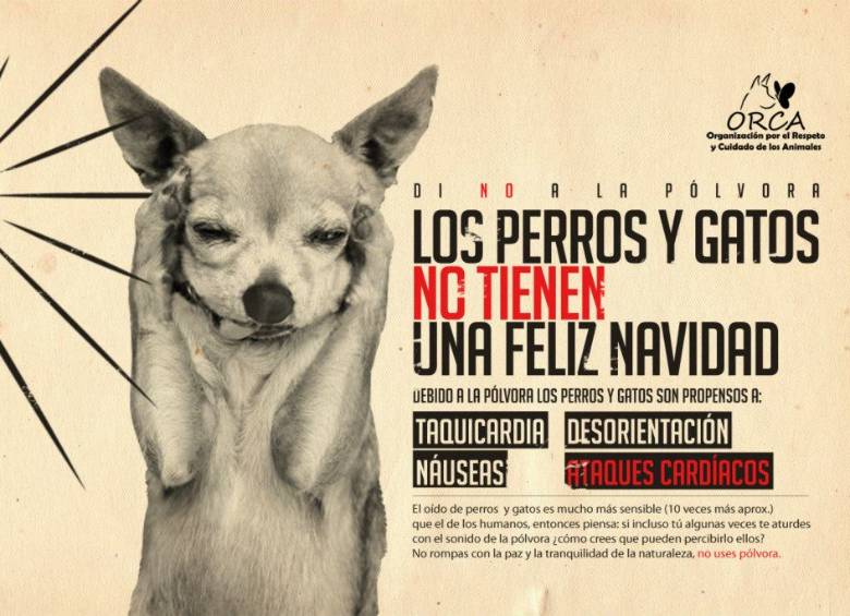 Imagen compartida en redes sociales por la Fundación Orca.