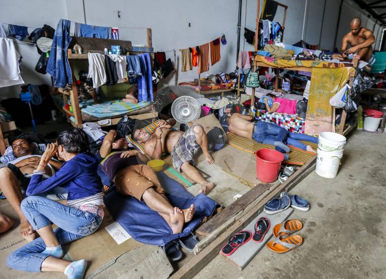 Los niños migrantes se volvieron grandes