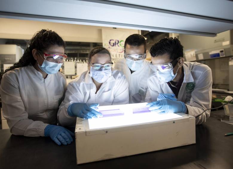 Hasta el momento, de acuerdo con el Instituto Nacional de Salud (INS), no hay evidencia científica que permita asegurar que Colombia registra casos de reinfección de coronavirus; sin embargo, sí hay indicios que se investigan. FOTO Camilo Suárez
