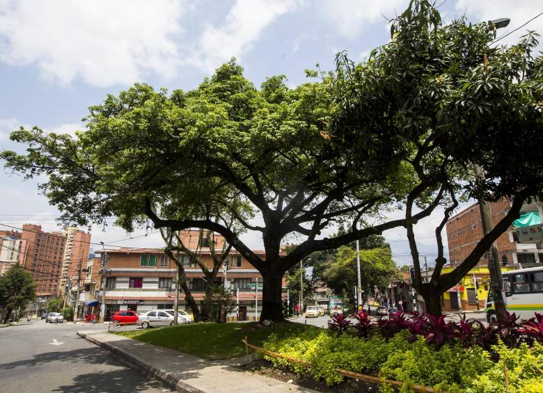 La calle Echeverri (58), a una cuadra del parque, es una de las vías que se volvió referente del barrio Boston. FOTO julio césar herrera