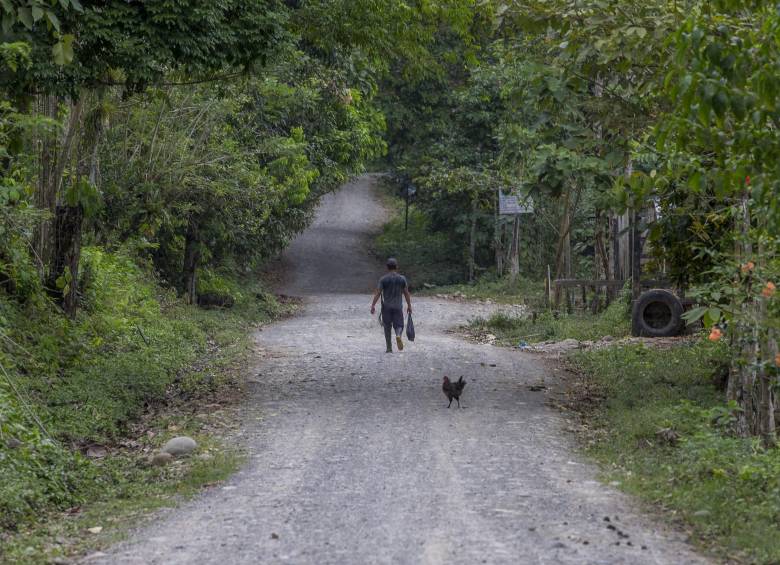 Jose Hernando Guzmán era conocido por los vecinos como Don Ernesto. FOTO ARCHIVO