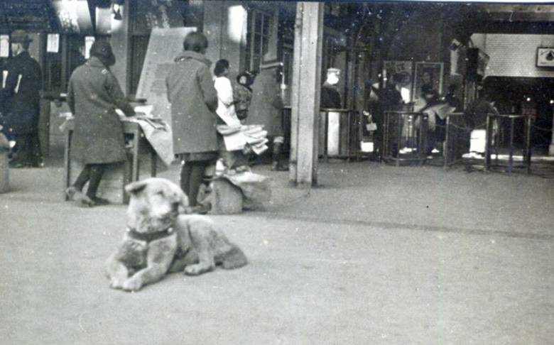 La imagen muestra al perro esperando a su dueño en la estación de Shibuya, mientras los transeúntes no le prestan atención a la famosa mascota. FOTO The Shibuya Times 