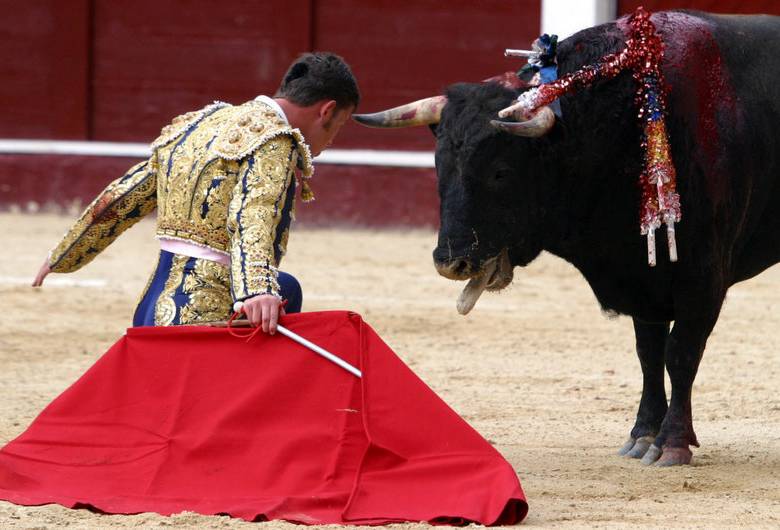 El proyecto de ley busca prohibir la presencia de niños en las corridas de toros en todo el país. FOTO COLPRENSA