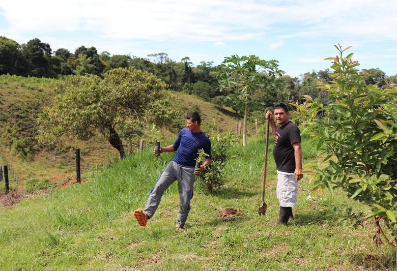 Humberto González, afectado por una mina antipersonal, ha sembrado junto al excombatiente Duvalier Zapata (izquierda), como una muestra de reconciliación. FOTO cortesía naciones unidas