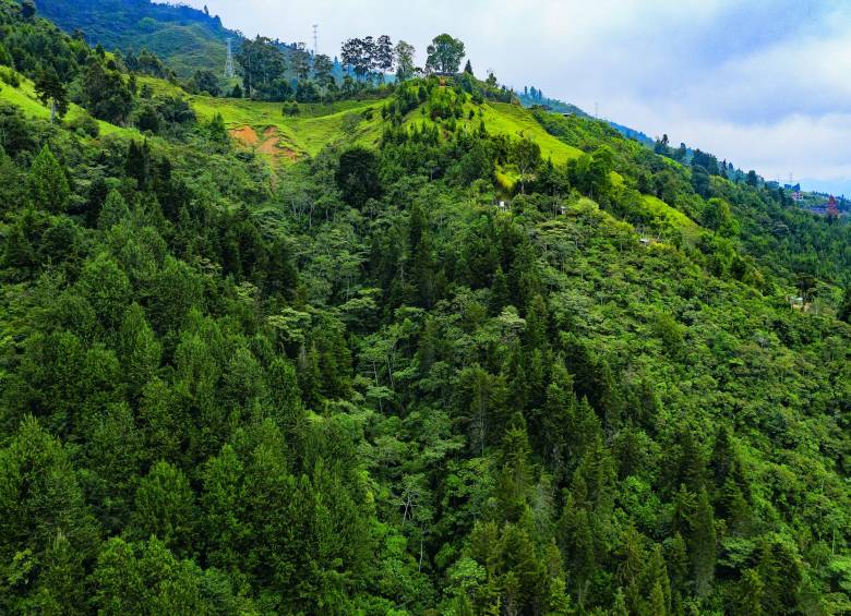 Hay zonas verdes que están bien protegidas