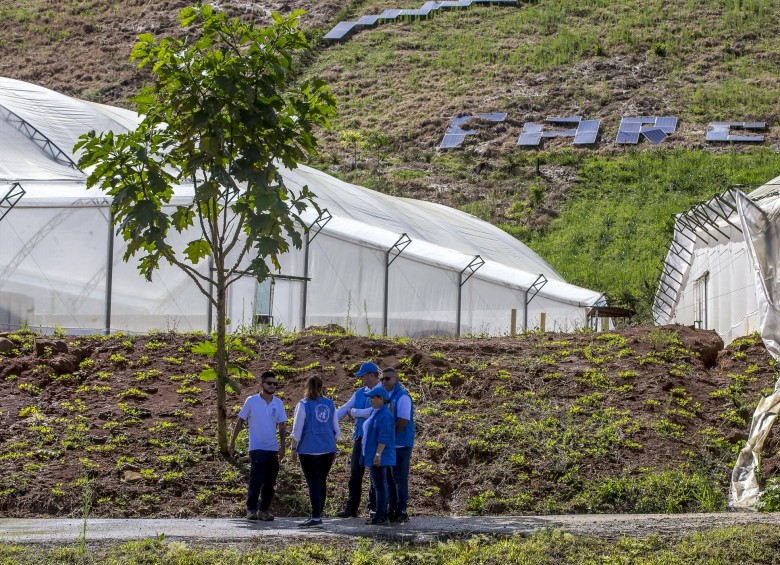 La Misión de la ONU en Colombia continuará hasta septiembre de 2021. FOTO: Juan Antonio Sánchez