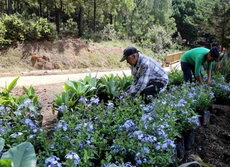 El Cinturón Verde ya escaló hasta la cima del cerro Pan de Azúcar