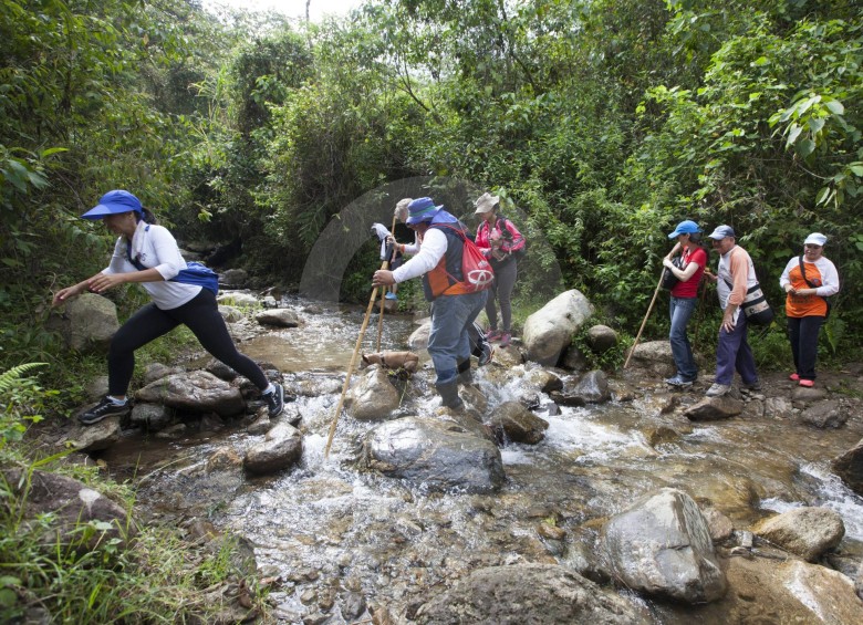 Envigado les ofrece a sus caminantes el parque El Salado, con frescas aguas y caminos indígenas. FOTO Edwin Bustamante