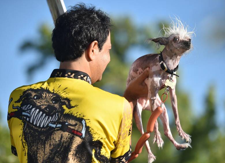La 27ma edición del concurso se realizó en la feria de Sonoma-Marin en Petaluma, California. FOTO AP