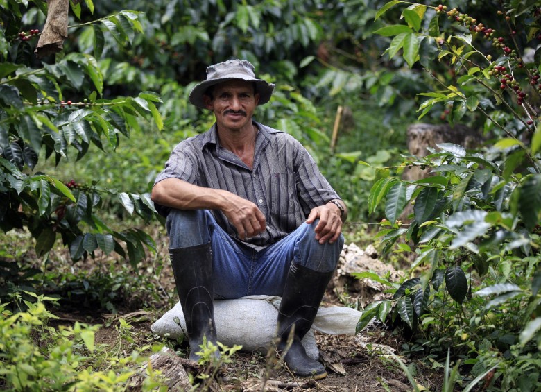 Walter Pérez sueña con hacer de la finca de su familia el origen de la mejor taza de café de Antioquia. FOTO Manuel saldarriaga