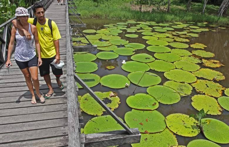 Hernán Vanegas - En la comunidad indígena de Mocagua la Victoria regia (lotos), engalanan su hábitat. En la gráfica, una pareja de turistas argentinos de visita al lugar.