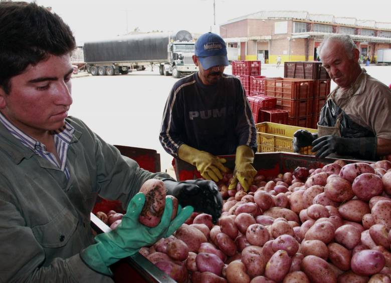 La papa fue uno de los alimentos que más subió durante el paro camionero. FOTO COLPRENSA