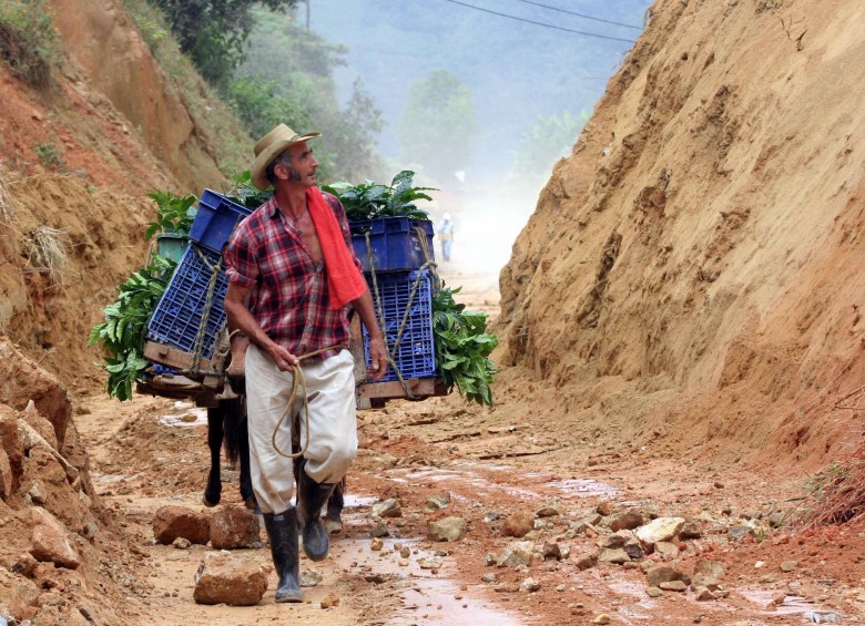 El mal estado de las vías es una dificultad de los campesinos de Palmitas para vender. Foto Jaime Pérez