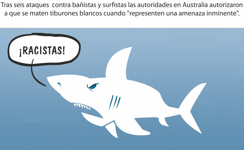 InfogrÃ¡fico
