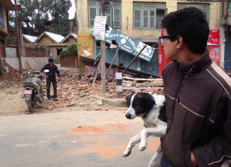 Las comunicaciones telefónicas y la cobertura de internet se colapsaron tras el terremoto. Foto AP