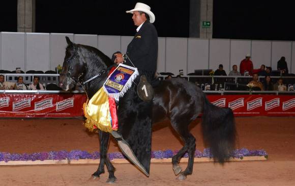 Dulce seducción ganó en yeguas el campeonato de paso fino colombiano. FOTO Cortesía Asdesilla / Criadero San Cayetano