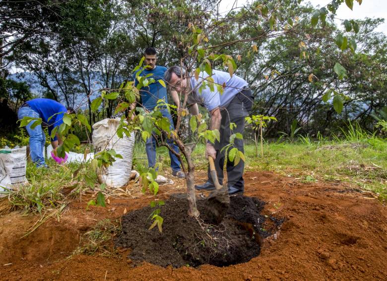 En la casa museo Pedro Nel Gómez, con siembras, buscan crear una galería verde para la Medellín .FOTO juan antonio sánchez