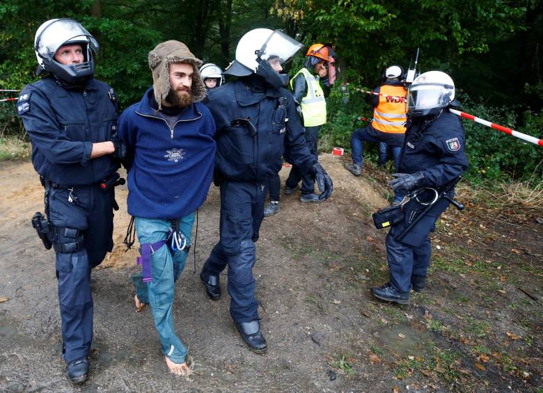 Viven en los árboles de un bosque en Alemania y los quieren desalojar