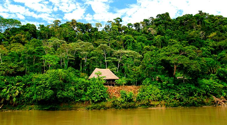 El proyecto pretende mejorar las condiciones socioeconómicas de pueblos indígenas. Imagen en la región. FOTO saving the amazon