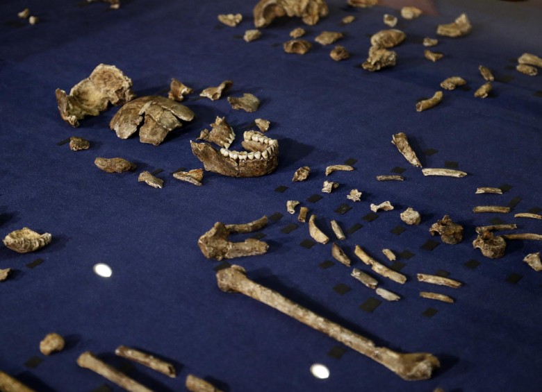 El H. naledi recuerda que no es fácil reescribir la prehistoria. FOTO AP