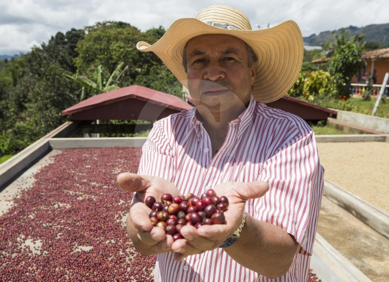 El futuro de Antioquia huele a café