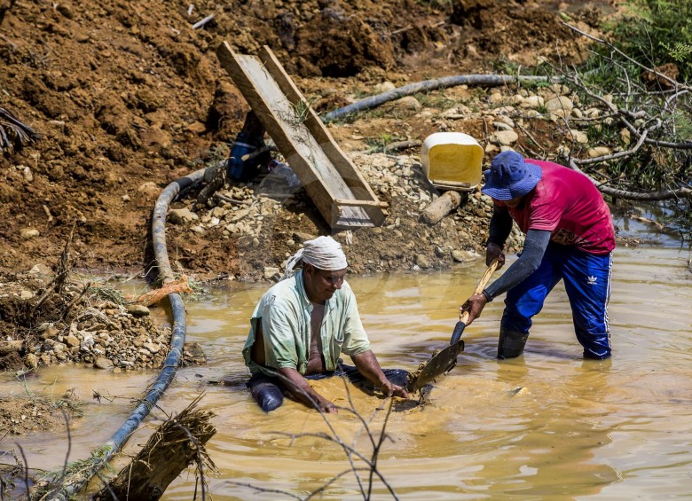 El Bajo Cauca antioqueño es una de las subregiones del departamento más afectadas por la deforestación a causa de la minería ilegal de oro. FOTO julio césar herrera