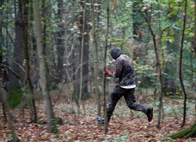 Viven en los árboles de un bosque en Alemania y los quieren desalojar