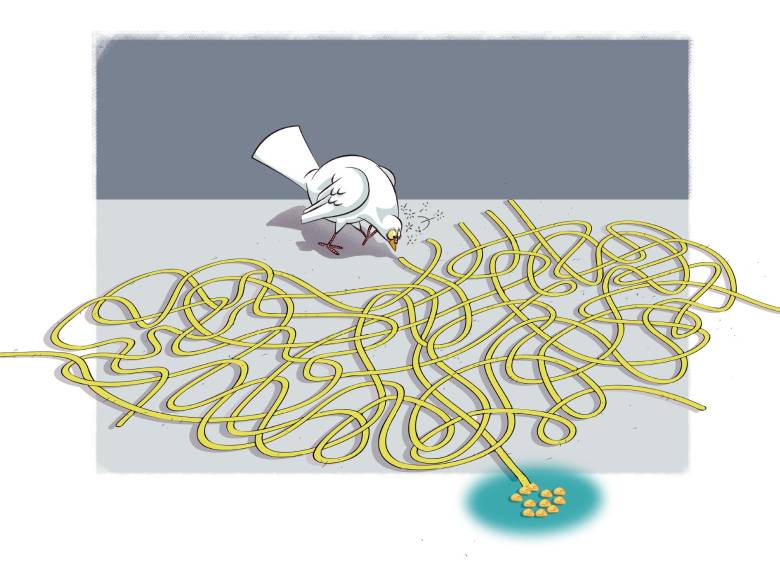 ilustración Esteban parís