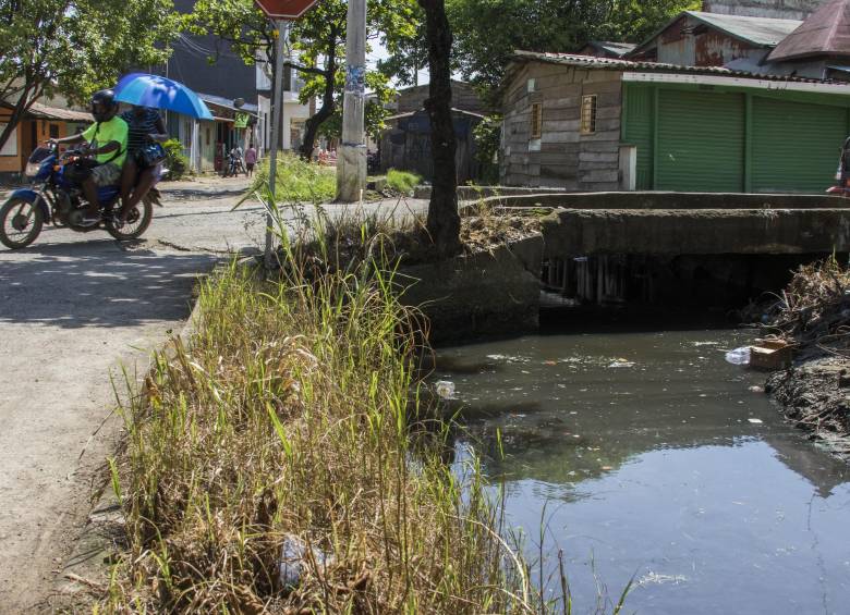 Empozamientos de agua como este se convierten en el hogar del dengue. FOTO Archivo Robinson Sáenz Vargas