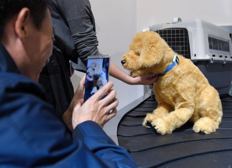 Ritmo cardíaco, coordenadas GPS, cámara que registra qué ve el perro, son los datos que arrojan estos dispositivos. FOTO afp