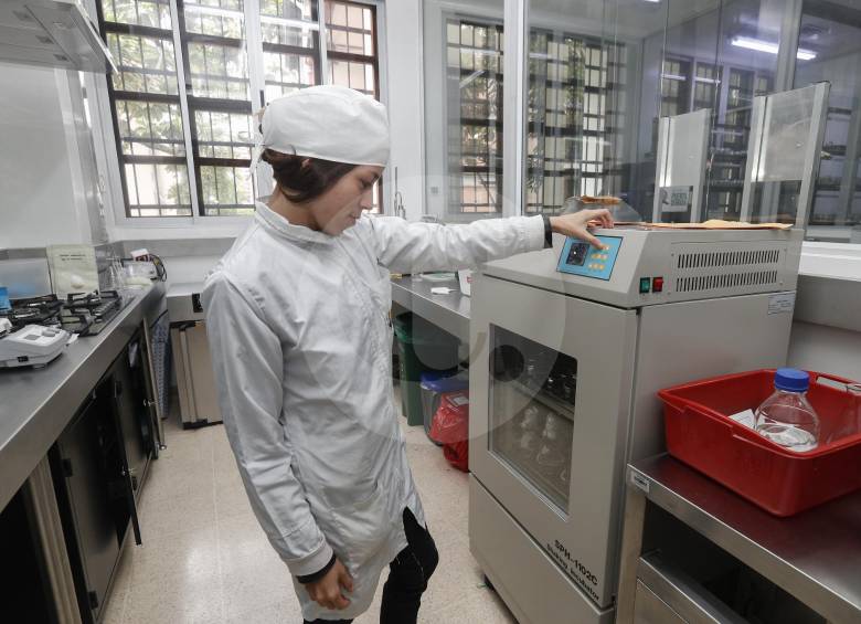 El Inem José Félix de Restrepo oferta más de 23 líneas o modalidades de media técnica para los estudiantes que cursan el bachillerato. Al año se gradúan 800 jóvenes. FOTO Manuel Saldarriaga