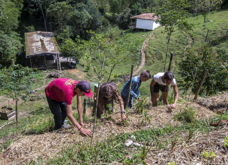 Todos los oficios son compartidos por el grupo familiar. En su huerto casero producen legumbres y otros productos para su consumo en el día a día. 