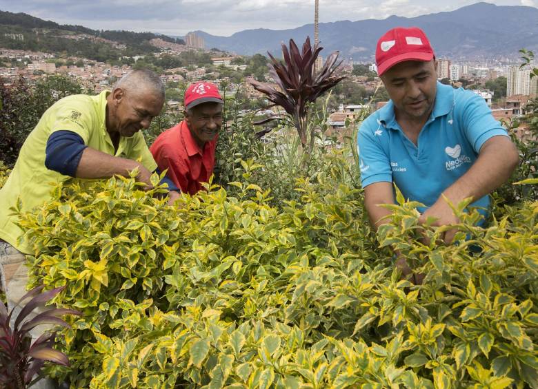 El Cerro de los Valores liderado por desmovilizados de las Auc en el barrio Las Estancias, de Medellín, emplea a 30 personas, pero se proyecta para generar 125 empleos. FOTO Donaldo Zulaga