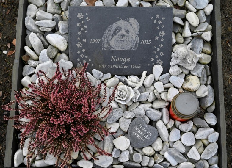 Así luce esta tumba en el cementerio de mascotas alemán. FOTO AFP