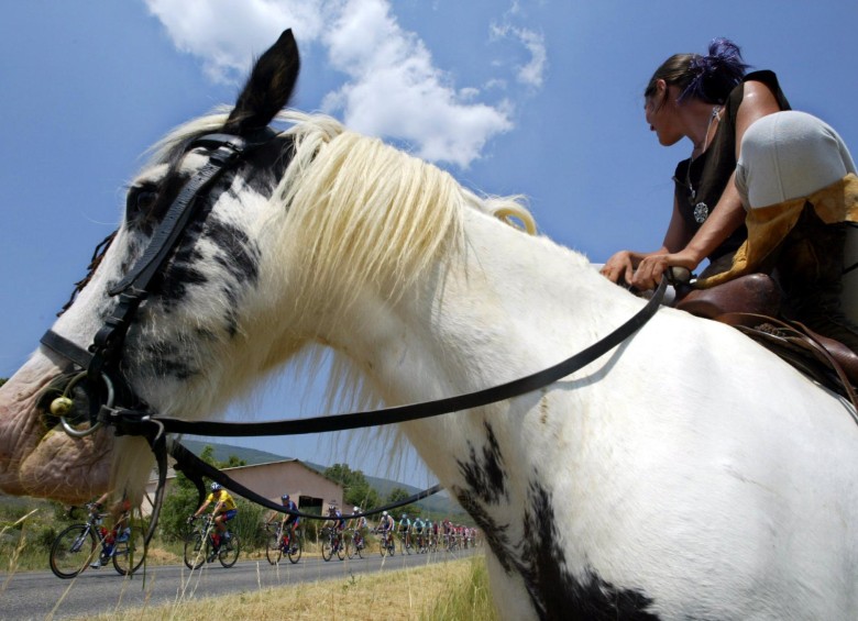 Una serie de mutilaciones de caballos se han registrado en los últimos meses en Francia, los propietarios y responsables de cuadras tratan junto con la policía de proteger a sus animales. FOTO AFP