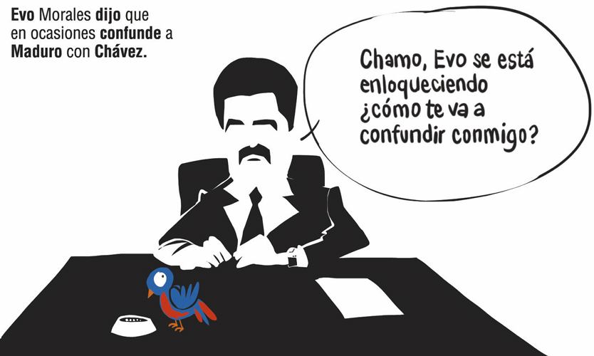 InfogrÃ¡fico