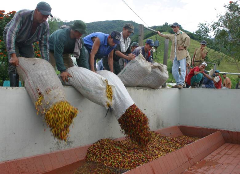 El café procede de Andes, Ciudad Bolívar y Jardín. FOTO archivo
