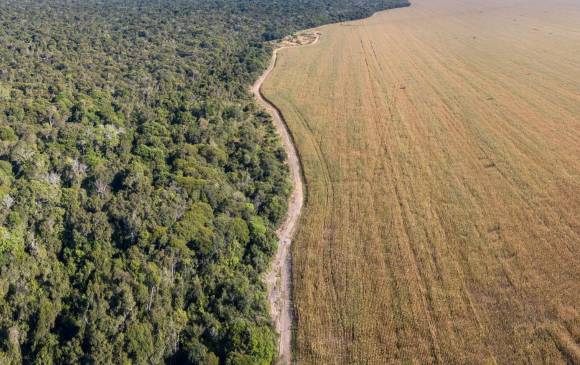 Llegar a la neutralidad climática no es fácil. El modelo de desarrollo actual ha hecho exactamente lo opuesto durante 150 años. FOTO SSTOCK