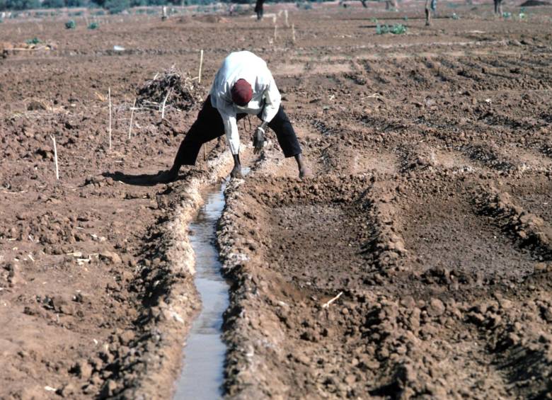 Un agricultor de Nigeria. El conflicto entre propietarios de tierra y ganaderos nómadas por el uso de los recursos hídricos en este país ha dejado, según International Crisis Group, seis veces más muertos que la acción del grupo extremista Boko Haram. FOTO FAO