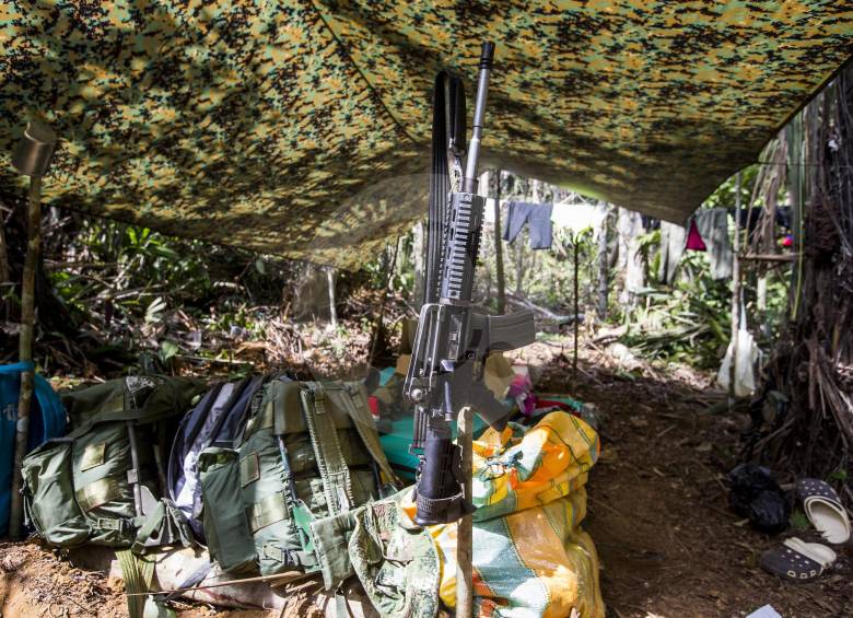 41 menores han salido de las filas de las Farc desde septiembre. FOTO: Jaime Pérez