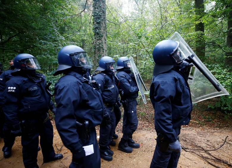 Viven en los árboles de un bosque en Alemania y los quieren desalojar