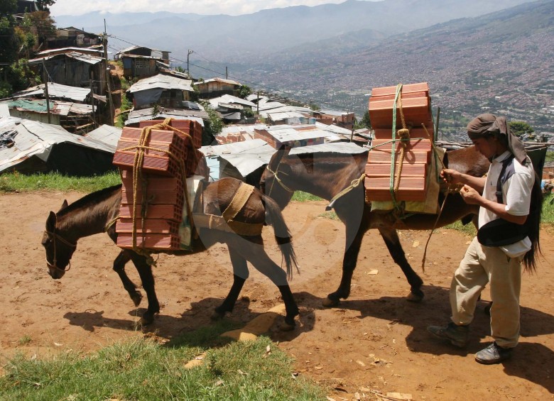 Aunque la ONU registra una reducción en la pobreza y pobreza extrema de Antioquia, todavía está el reto de cerrar más la brecha social, y disminuir el desempleo. FOTO donaldo zuluaga