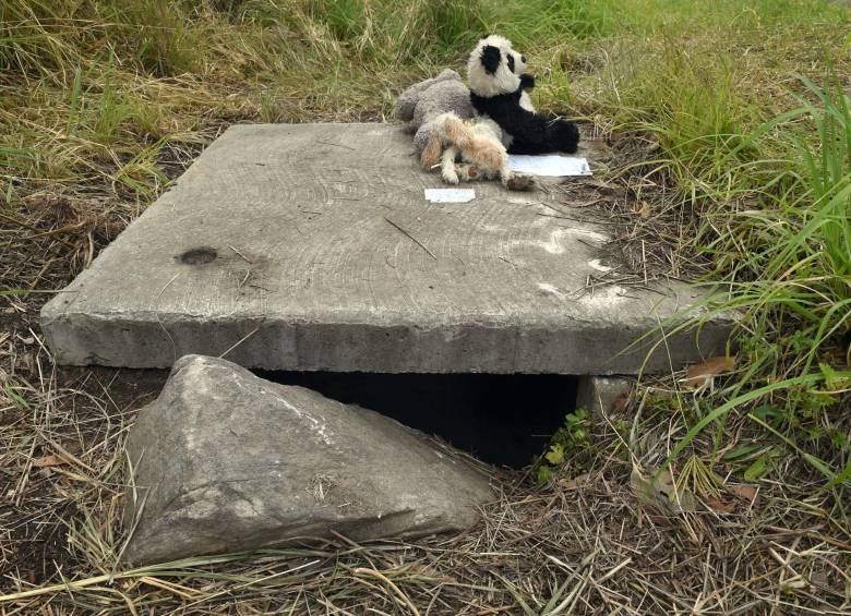 El bebé, de una semana de edad, fue encontrado por varios ciclistas que lo detectaran en la alcantarilla de 2,5 metros (8 pies) de profundidad a un lado de la carretera M7 en Quakers Hill, dijo la policía en un comunicado. FOTO AFP