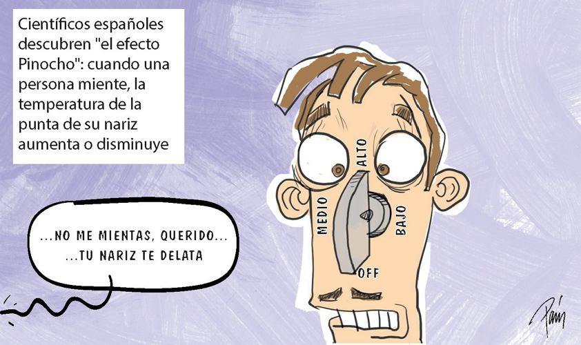 InfogrÃ¡fico