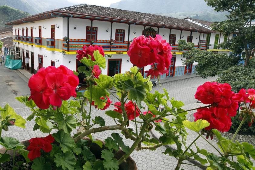 Que su jardín sea el más florecido