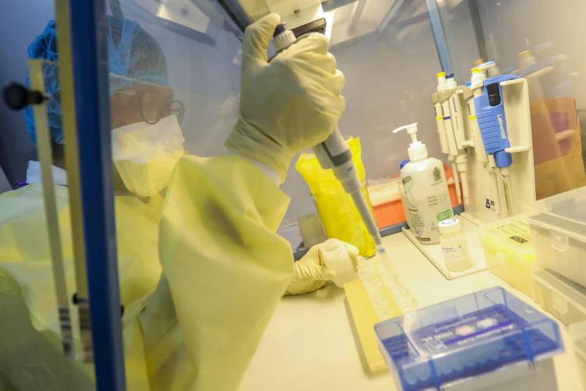 El estudio se realizó en la universidad de Southampton, en Inglaterra. Los resultados son alentadores FOTO EFE