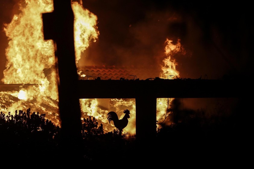 Un elemento de decoración (gallo) de una de las casas consumidas por las llamas en Grecia. FOTO EFE